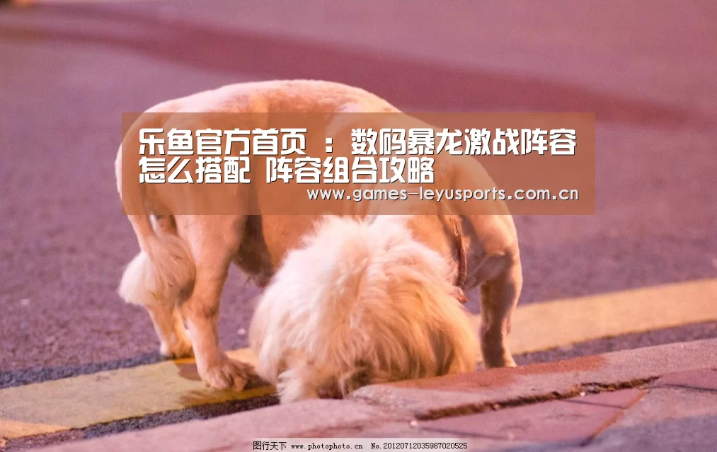  登录入口