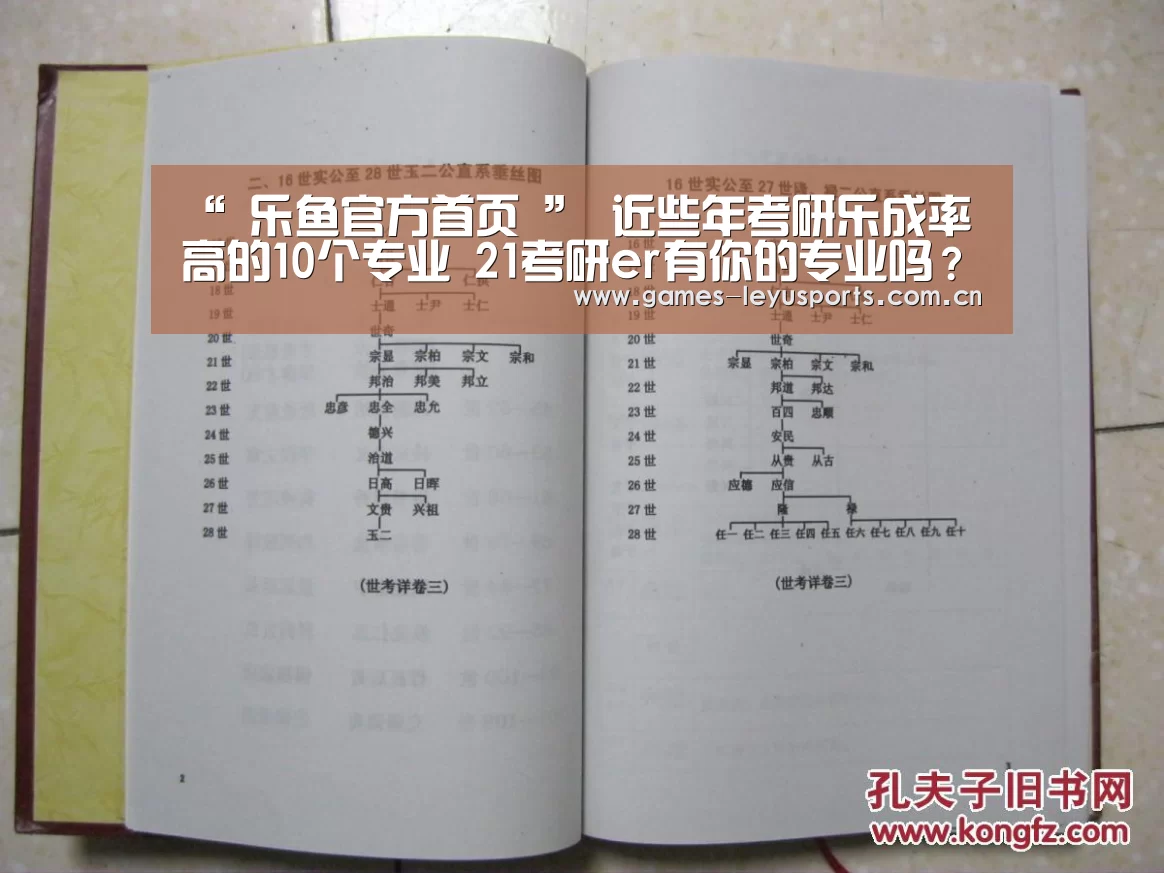  登录入口
