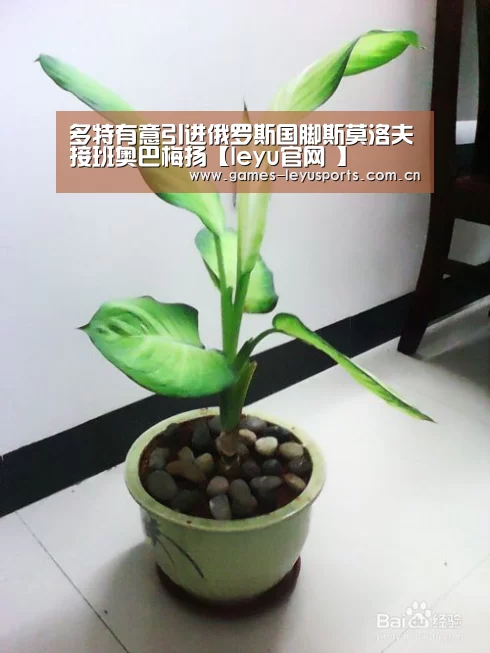  登录入口