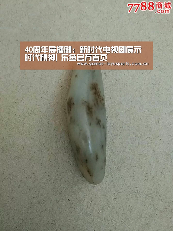  登录入口