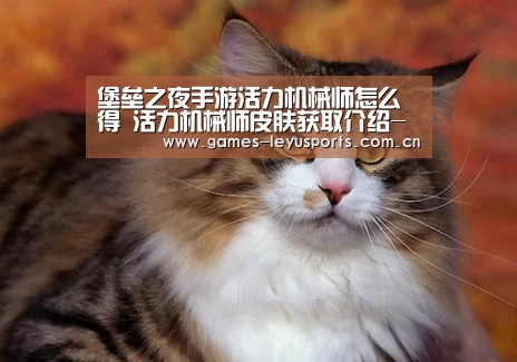 堡垒之夜手游活力机械师怎么得 活力机械师皮肤获取介绍- 乐鱼官方首页 (图1) leyu官网