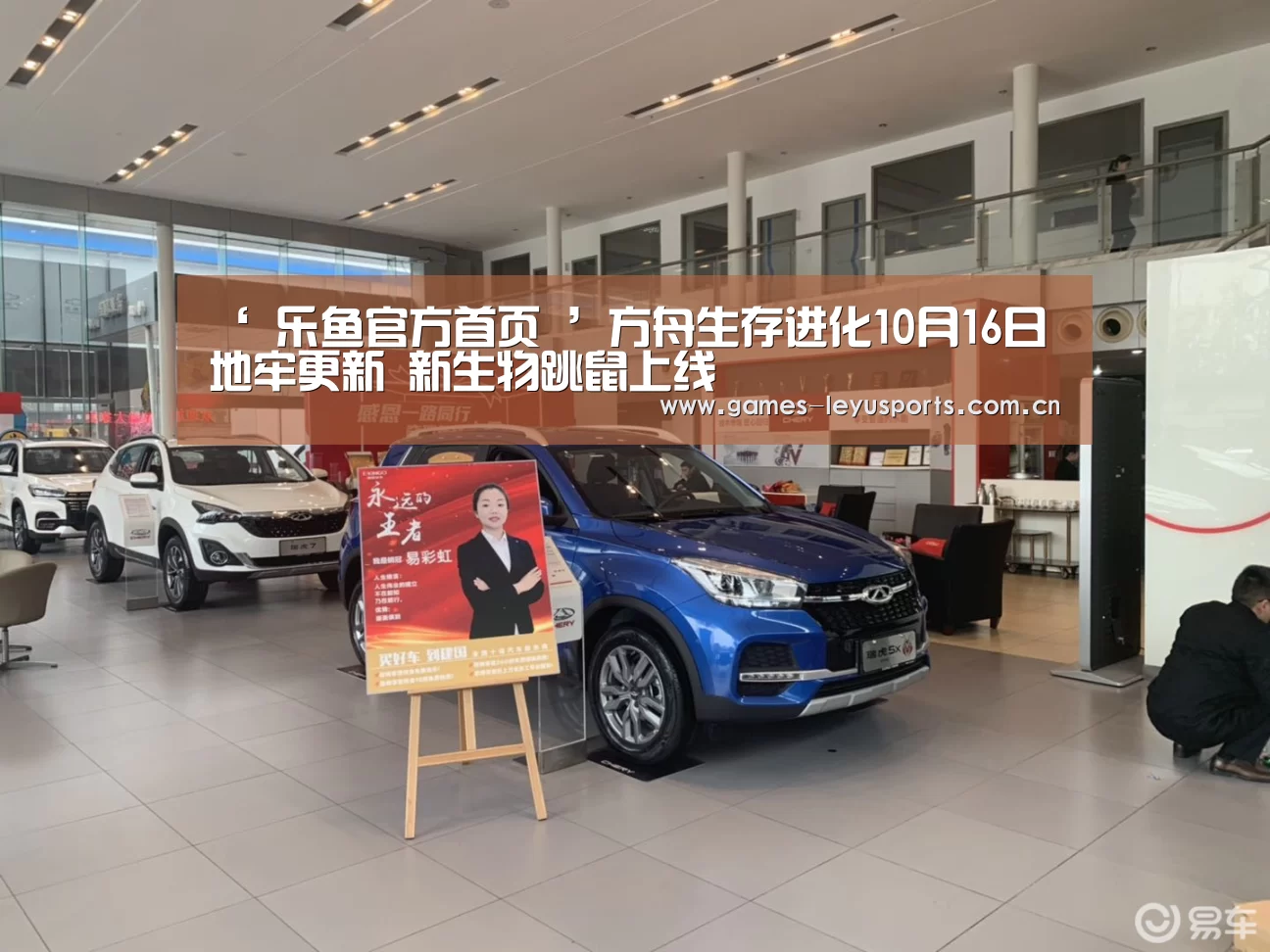  登录入口